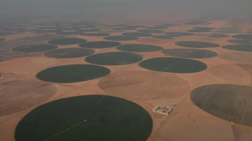مشروع الدلتا الجديدة